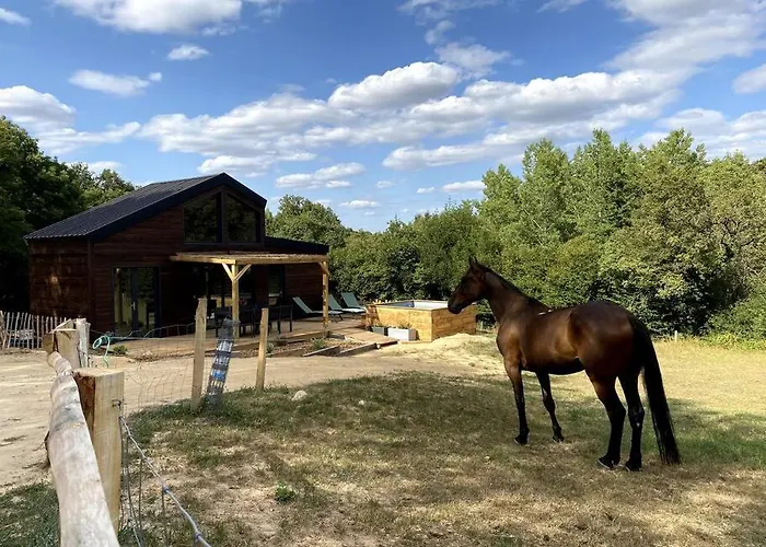 La Cabane Du Petit Moulin